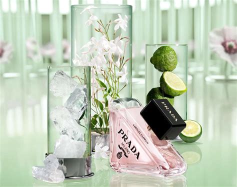 paradoxe virtual flower perfume.